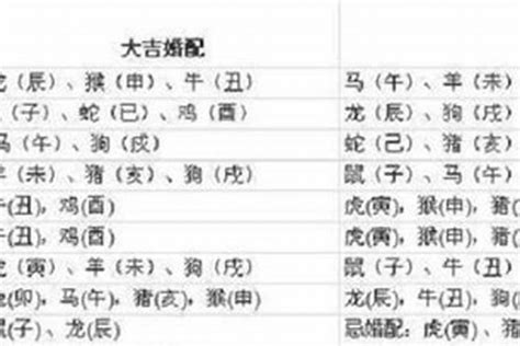 97年生肖|97年属什么 97年属什么的生肖配对